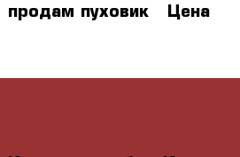 продам пуховик › Цена ­ 1 000 - Курганская обл., Курган г. Одежда, обувь и аксессуары » Мужская одежда и обувь   . Курганская обл.,Курган г.